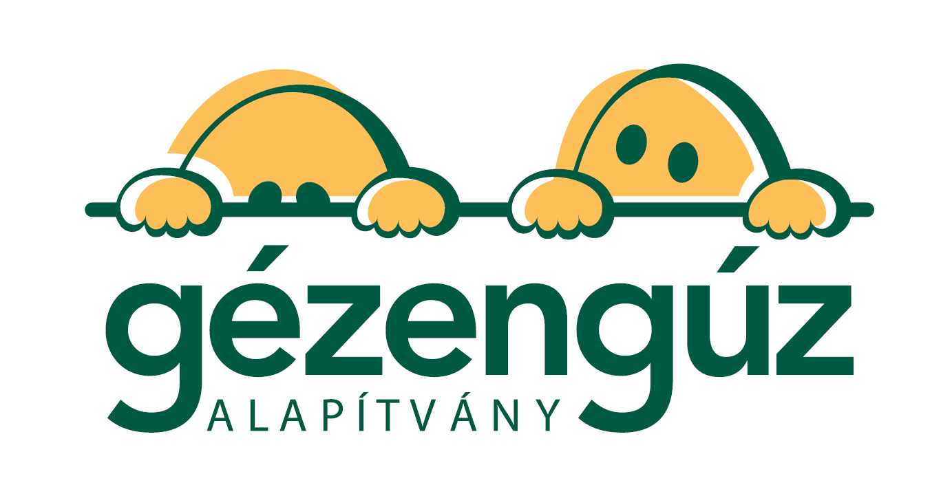gezenguz logo